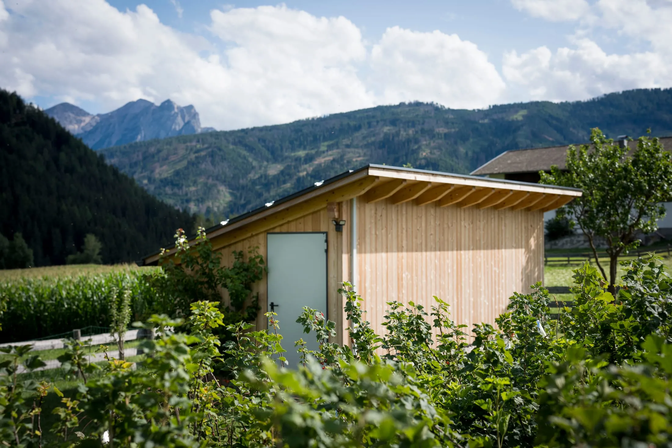 Das Bienenhaus der Imkerei Tonner-Kollmann in Taisten vor den Pustertaler Bergen