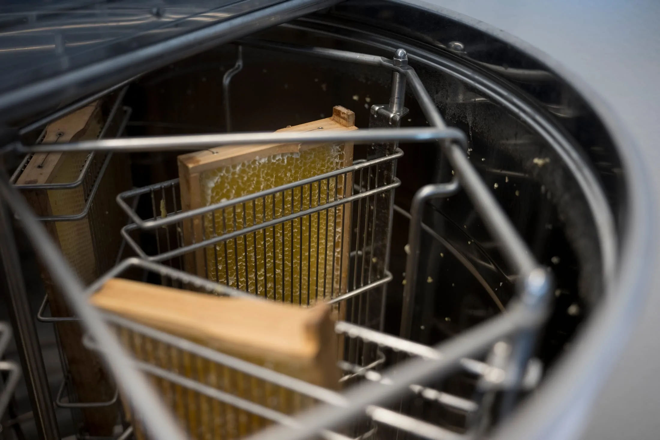 Entdeckelte Honigwaben im Korb der Honigschleuder