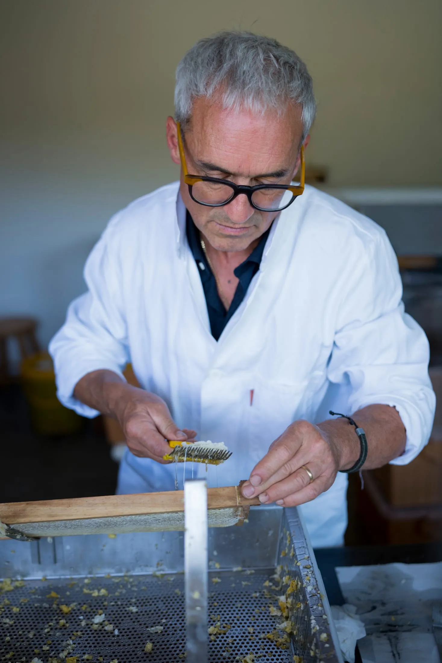 Dr. med. vet. Urban Luis Tonner beim Entdeckeln einer Honigwabe